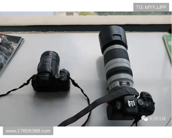 广东三少闪光黄明依却被DNP